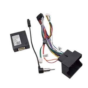 Accesorii electronice auto