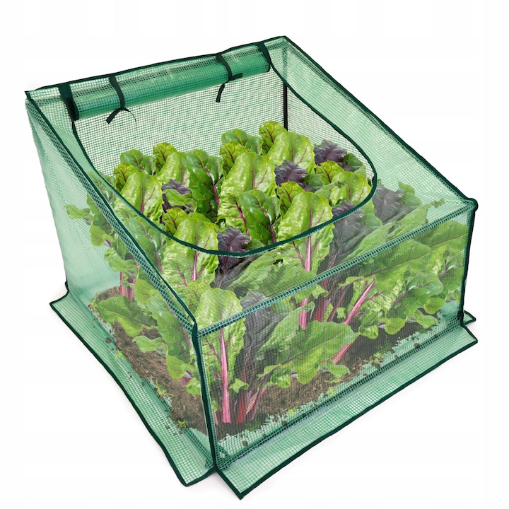 Mini sera Nan 70x90cm, folioasa, usor de montat, protectie impotriva daunatorilor