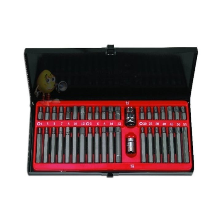 Trusa Biti Torx, cu 41 de piese, din metal, in cuite de protectie, argintiu