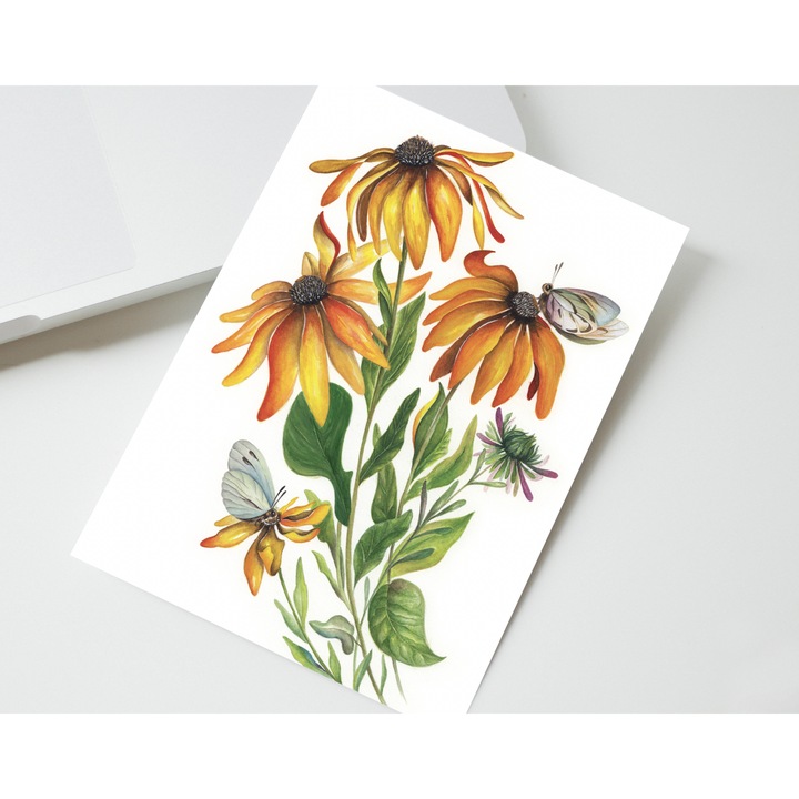 Felicitare Fluturi si bucurie