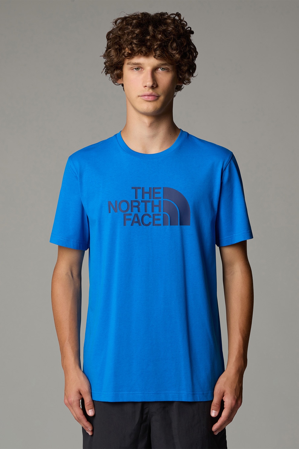 The North Face, Tricou regular fit cu decolteu la baza gatului si imprimeu logo, Albastru royal, M