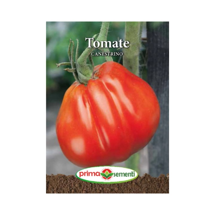 Seminte Tomate Canestrino