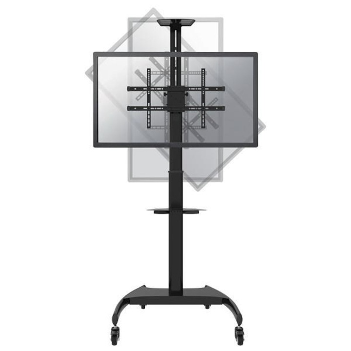 Стойка за телевизор, Newstar, PLASMA-M1900E, 177,8 cm (70"), черна, 50 kg max