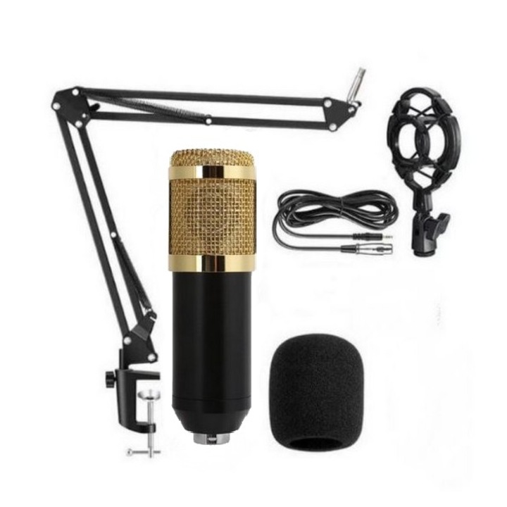 Set Microfon Condenser SkyTechs® stand soc inclus potrivit pentru Streaming, Karaoke Aur