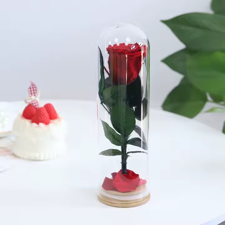 Trandafir Criogenat in Cupola de Sticla 25 cm, Rosu