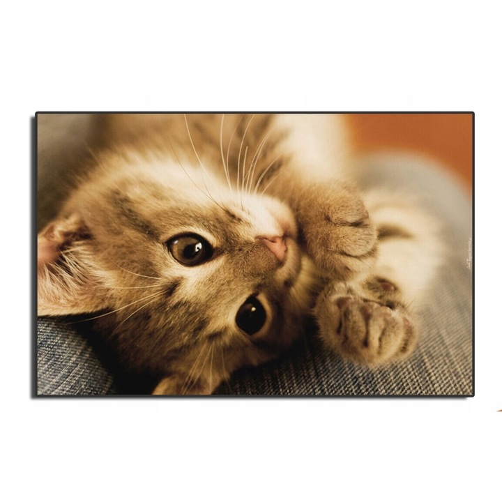 Egérpad World Case, macska mintás, 29x36cm, csúszásmentes, minőségi anyagból