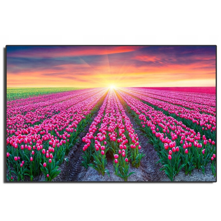 Egérpad World Case, 20x24 cm, Többszínű