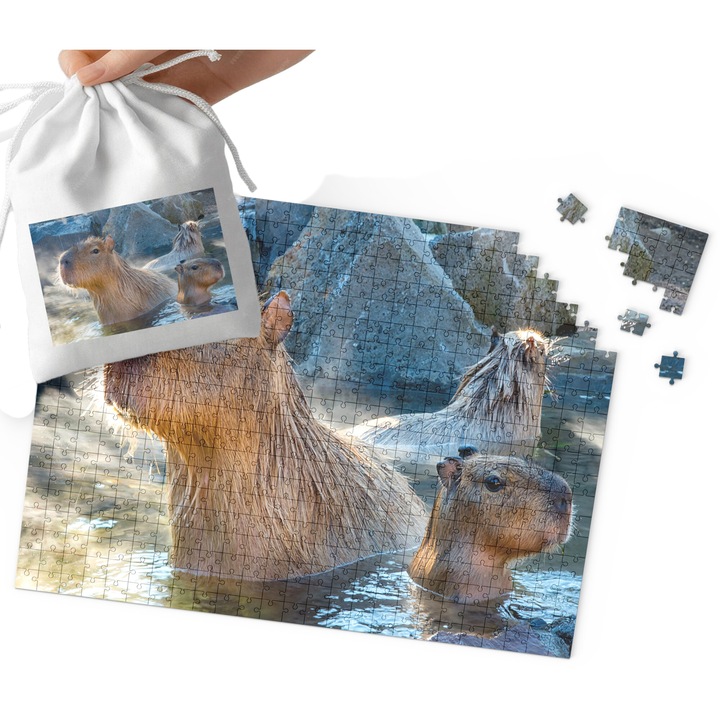 120 darabos karton puzzle, World Case, 29x41cm, készlet táskával