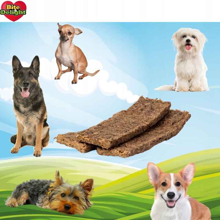 Biscuiti pentru caini, PASKI, carne de curcan, 100 g