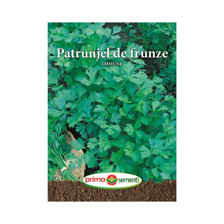 Seminte Patrunjel de frunze Comune