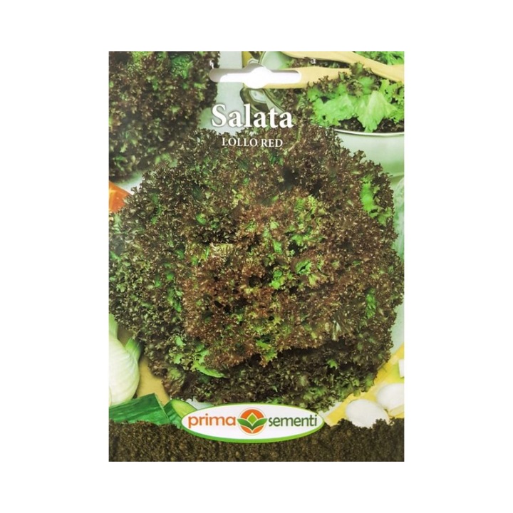 Seminte Salata Lollo Red
