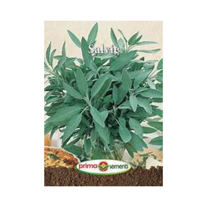 Seminte Salvie
