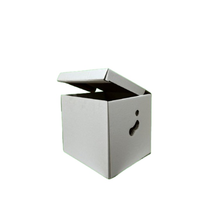 Cutii arhivare CO3 alb 320x300x320 50 buc/set