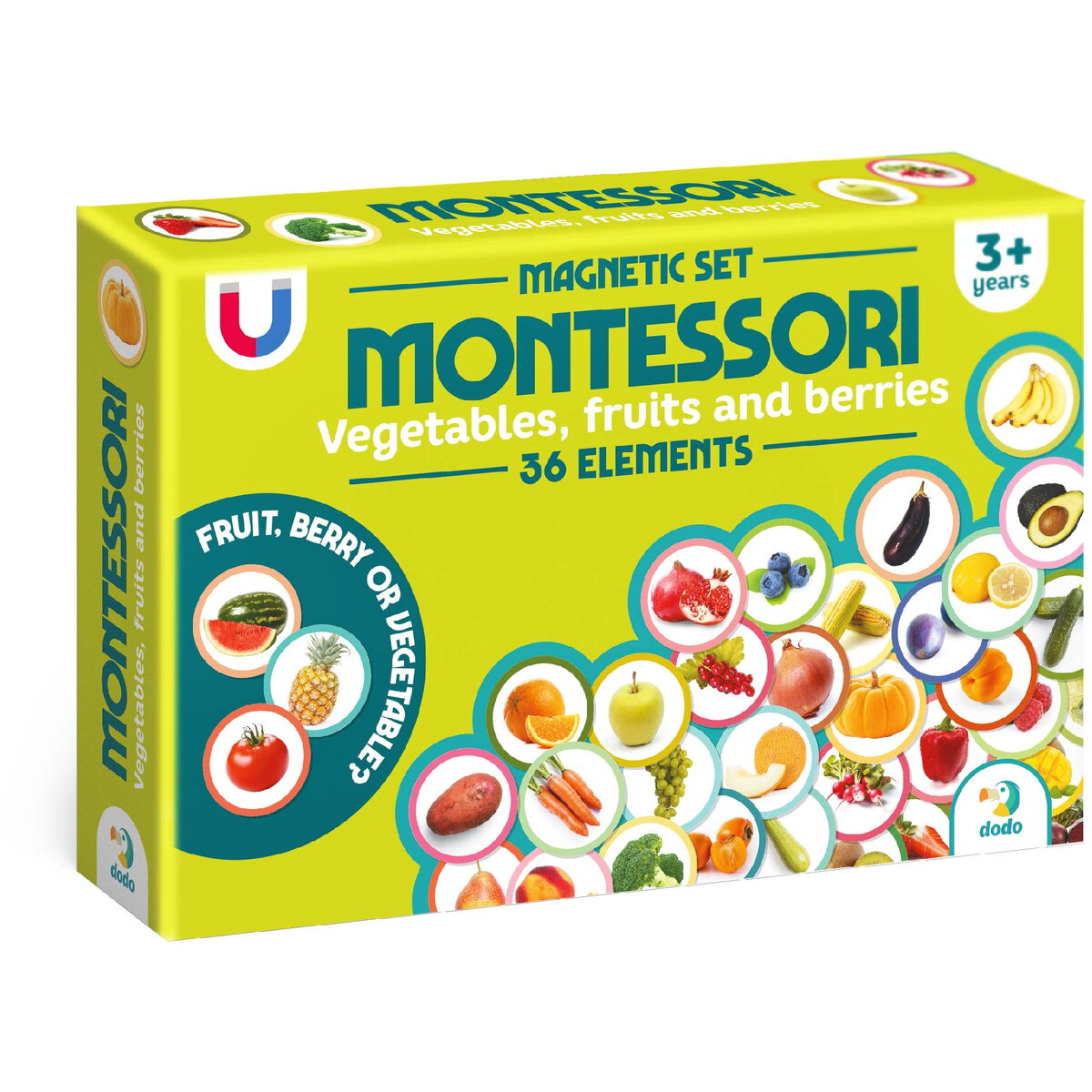 Jocuri si jucarii educative Dodo. Căutarea nu se oprește niciodată