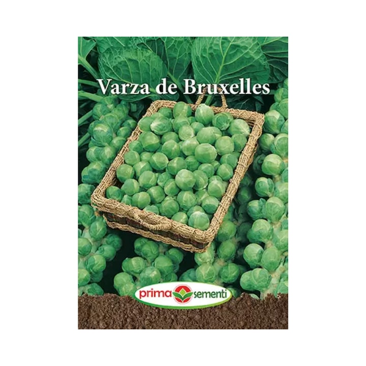 Seminte Varza de Bruxelles