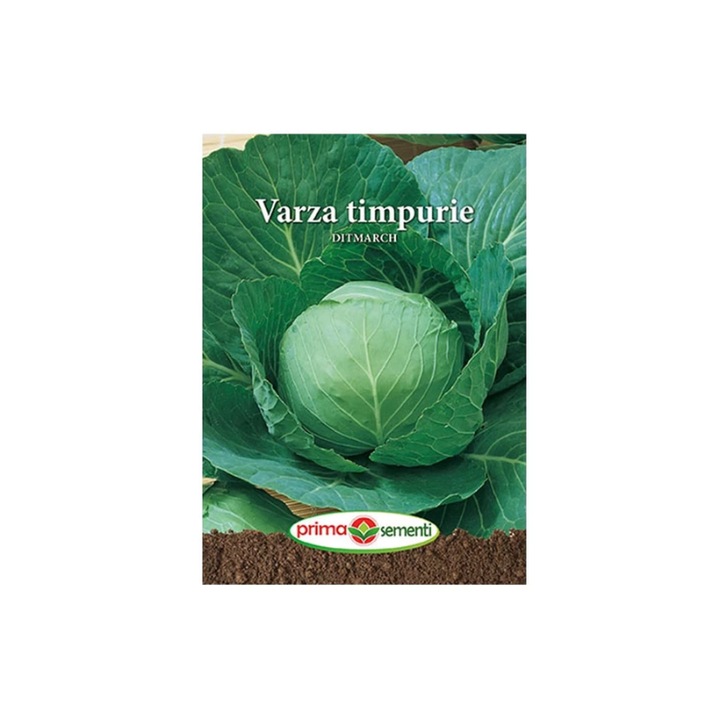 Seminte Varza timpurie Ditmarch