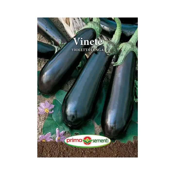 Padlizsán vetőmag, Violetta Lunga