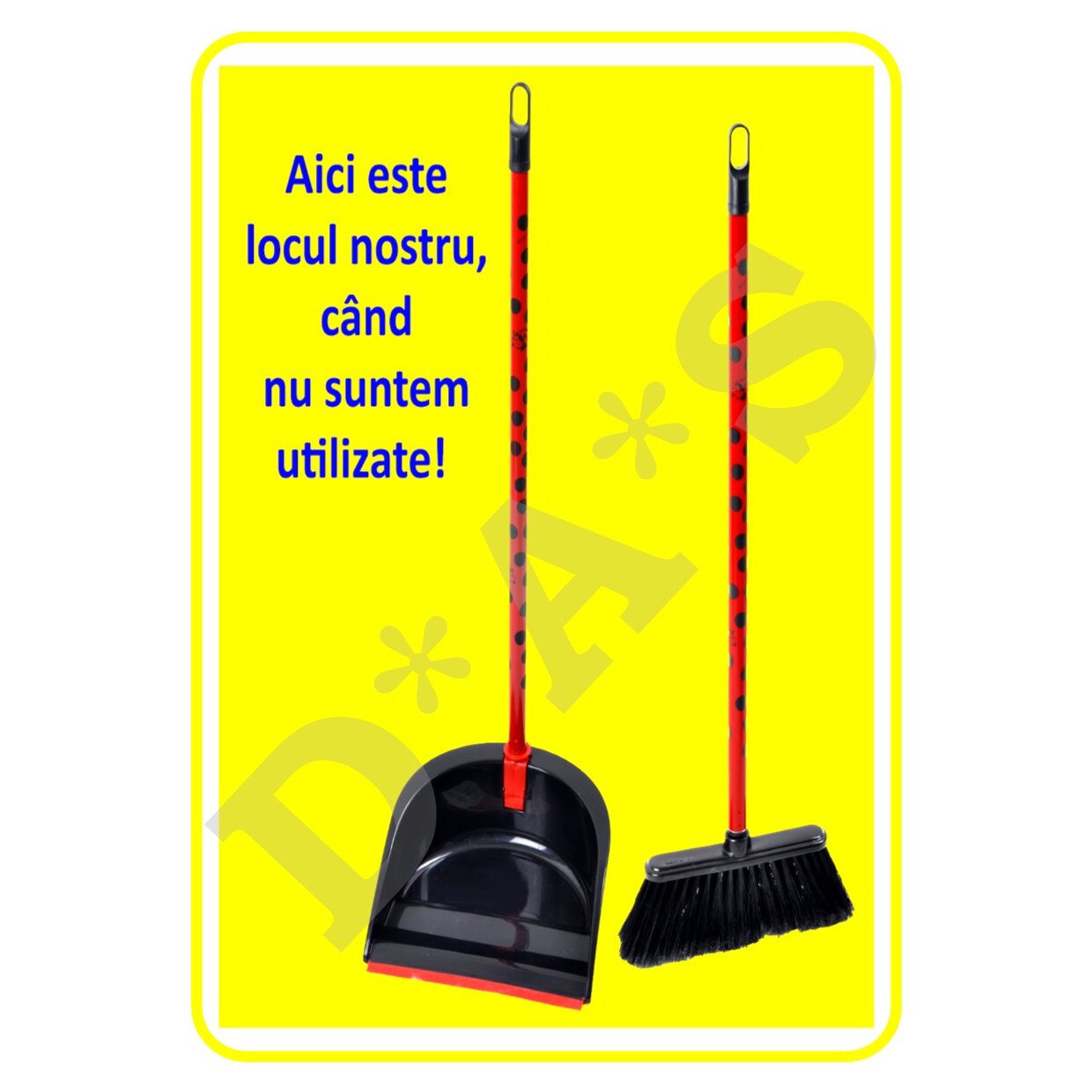 Set de 2 indicatoare A4 - 5S - MATURA