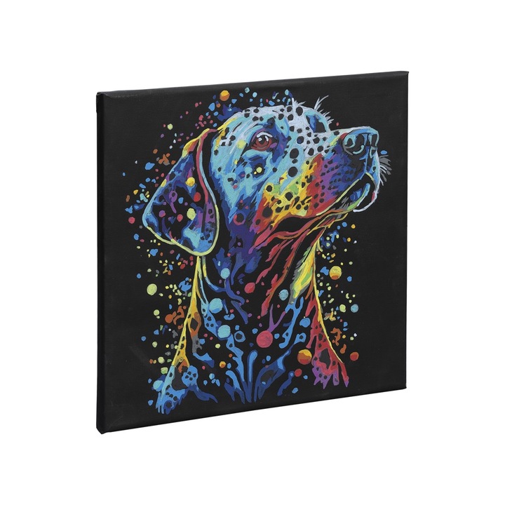 Pictura pe numere 30×30 Catel, Grafix