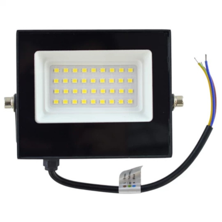 Proiector LED 30W 6400K, Homelight
