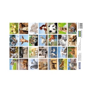 Dekorációs matricák