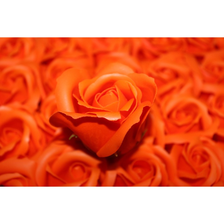 Trandafiri din Sapun Parfumati, 50 buc/set, Portocaliu