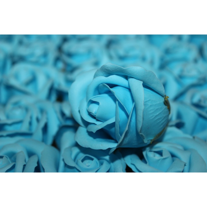Trandafiri din Sapun Parfumati, 50 buc/set, Bleu