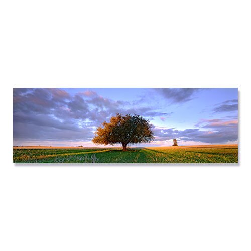 Tablou Canvas - Treescape, 50 x 150 cm