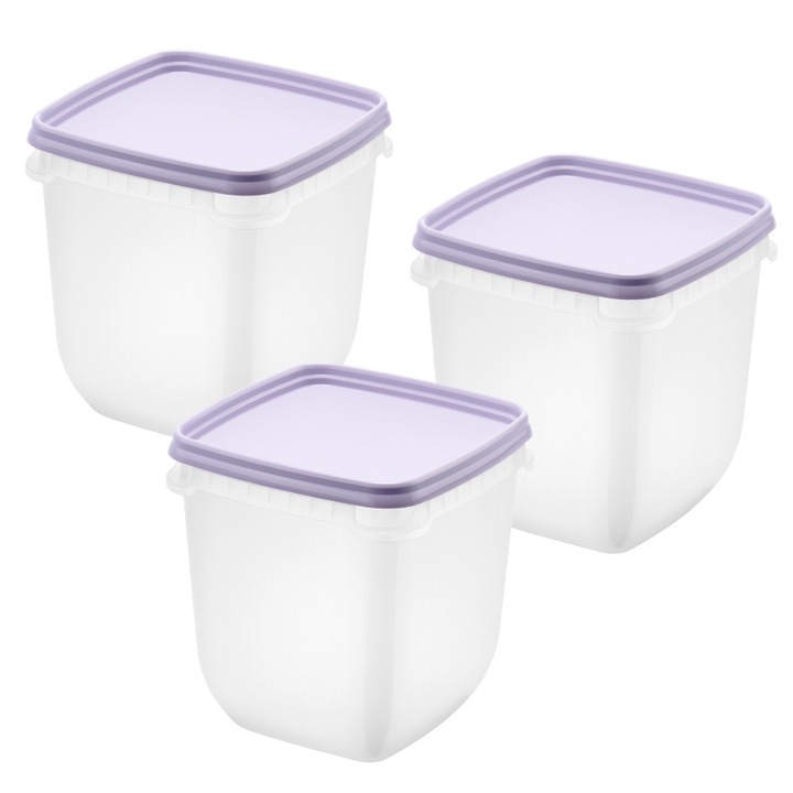 Set 3 caserole cu capac, depozitare alimente, Freez SmartStore, 1L, compatibila cu cuptorul microunde si congelator, capac ermetic