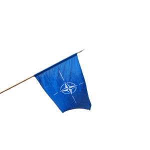 Articole pentru suporteri