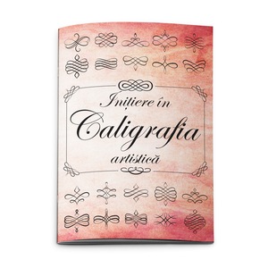 Activitati extracurriculare