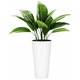 Ghiveci rotund inalt Tubus slim shine DTUS200S, 20x38cm, Alb