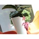 Ghiveci rotund inalt Tubus slim shine DTUS200S, 20x38cm, Alb