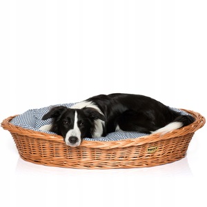 Kisállat ágyak, párnák és matracok