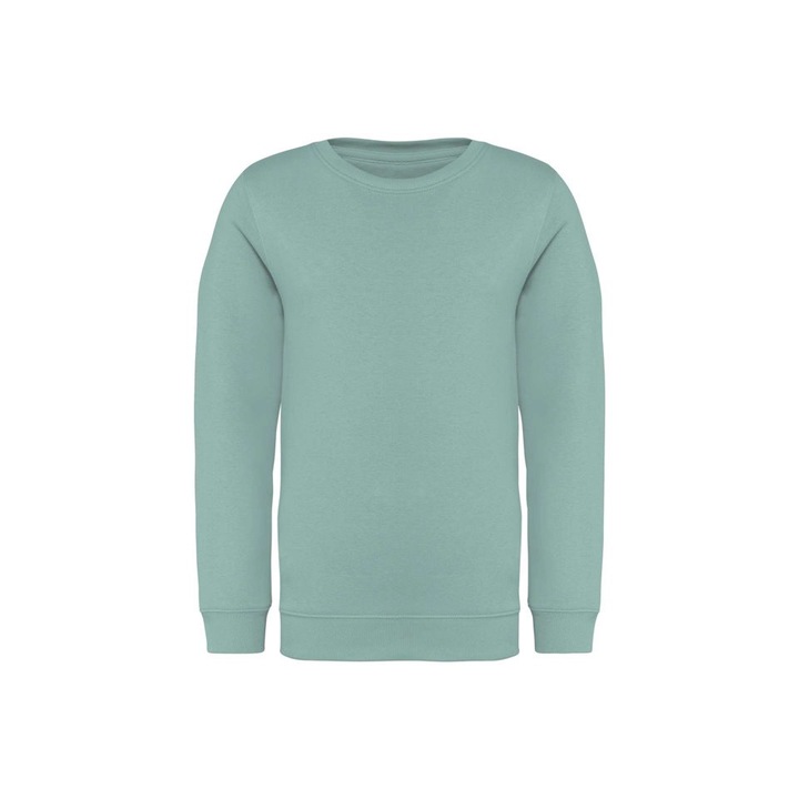 Native Spirit kerek nyakú ökológiai gyerek pulóver - NS403, Jade Green