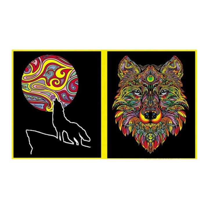 Seturi pictura Colorvelvet, A4, 2 imagini