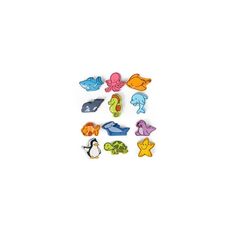 Animale din mare si de langa mare - HAPE