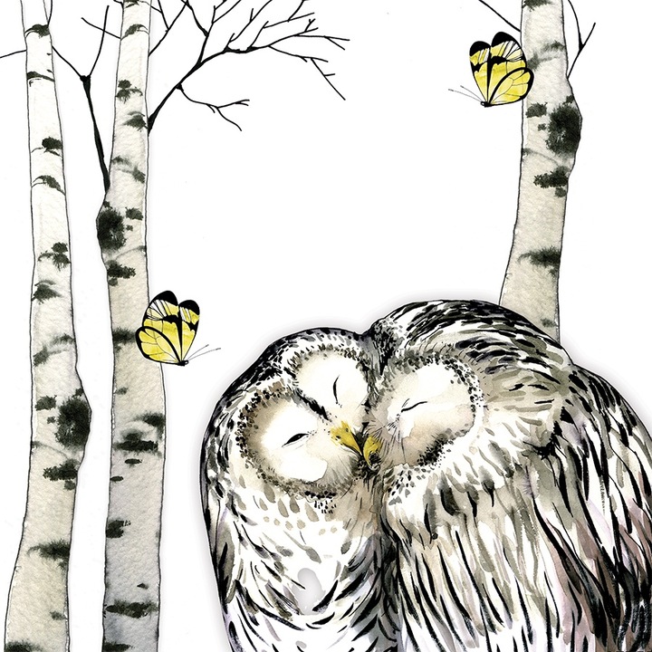 Karnet Swarovski kwadrat CL1206 Sowy, Clear Creations, 2cm, fara text, cu envelopa