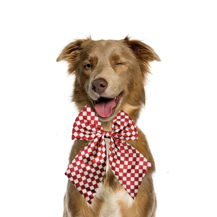 Papion tip funda Fashion Ally Doty®, pentru animale de companie de talie mica, 44-32 cm, reglabila, model carouri, rosu inchis