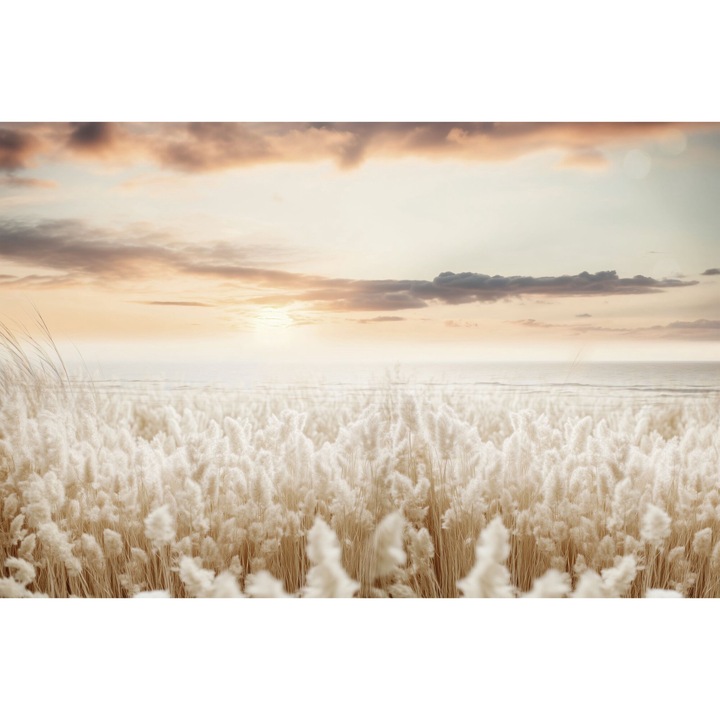 Tapet Si Mare Murala, Decowalls, Natura, Decoratiuni In Stil Scandinav, Boho, 260 x 390 cm, Bej