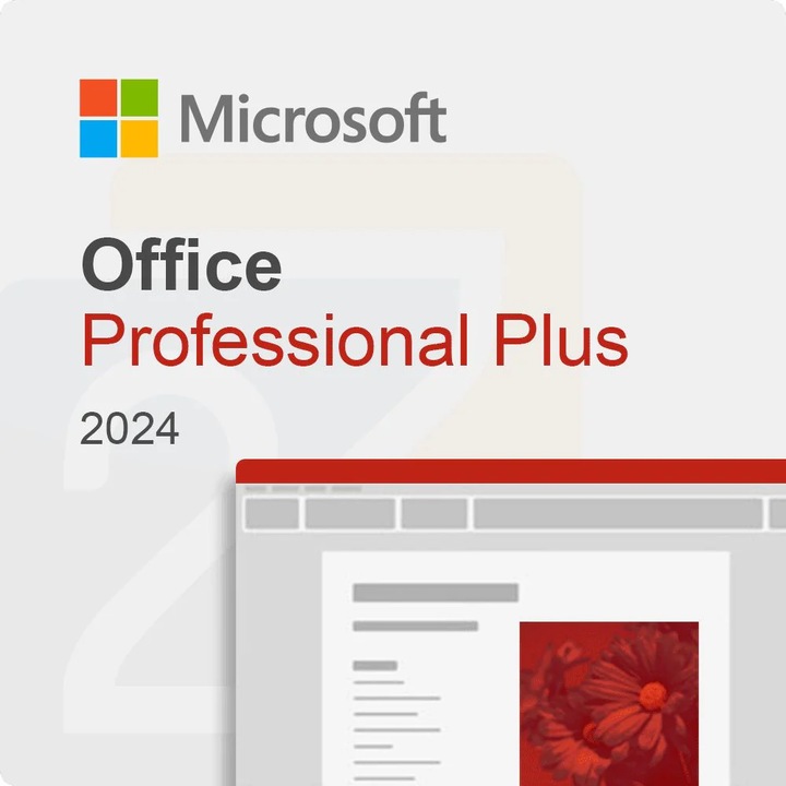 License Microsoft Office 2024 Professional Plus Medialess Лиценз 1 PC Perpetual