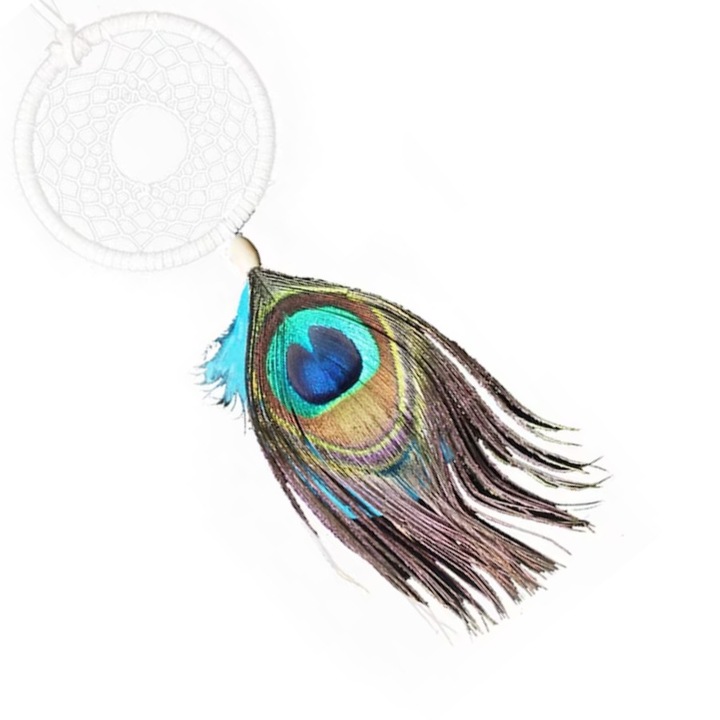 Pandantiv de masina din pene de paun, multicolor, 30x15cm, Lucrat manual, adica frumos, vintage, stil indian