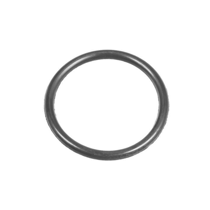 Oring Cedrus, accesorii aparate de spalat cu presiune, CEDMC90, 560039