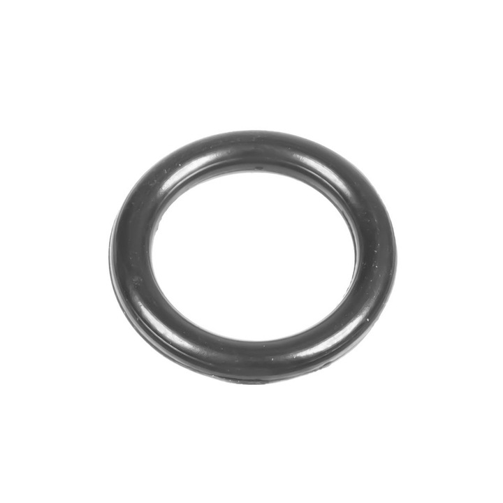 Oring pentru aparat de spalat cu presiune Cedrus MC90, 560041
