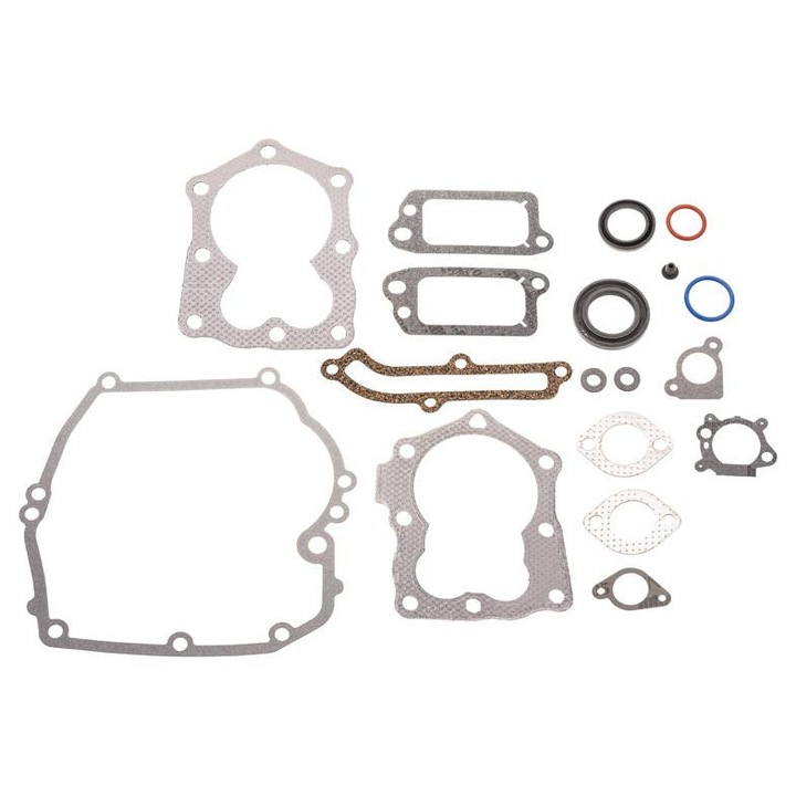 Set de garnituri B&S Series 600 Quantum Piesa originala 590508, CEDRUS