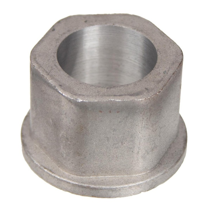 Maturator cu manson, Cedrus, Zm03