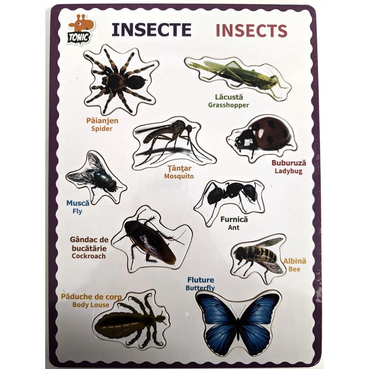 Incastru 2D insecte in limba romana