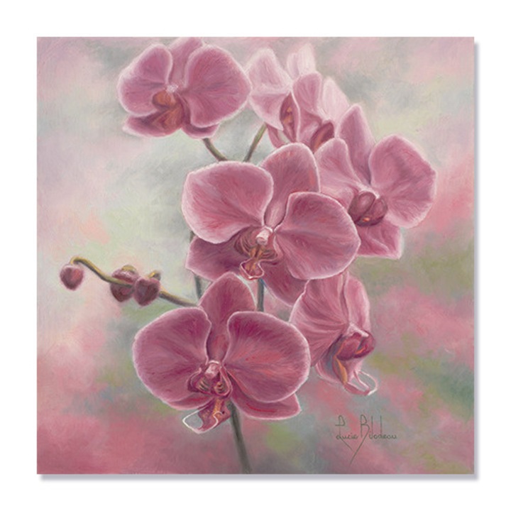 Tablou Canvas - Flori, Orhidee, 100 x 100 cm