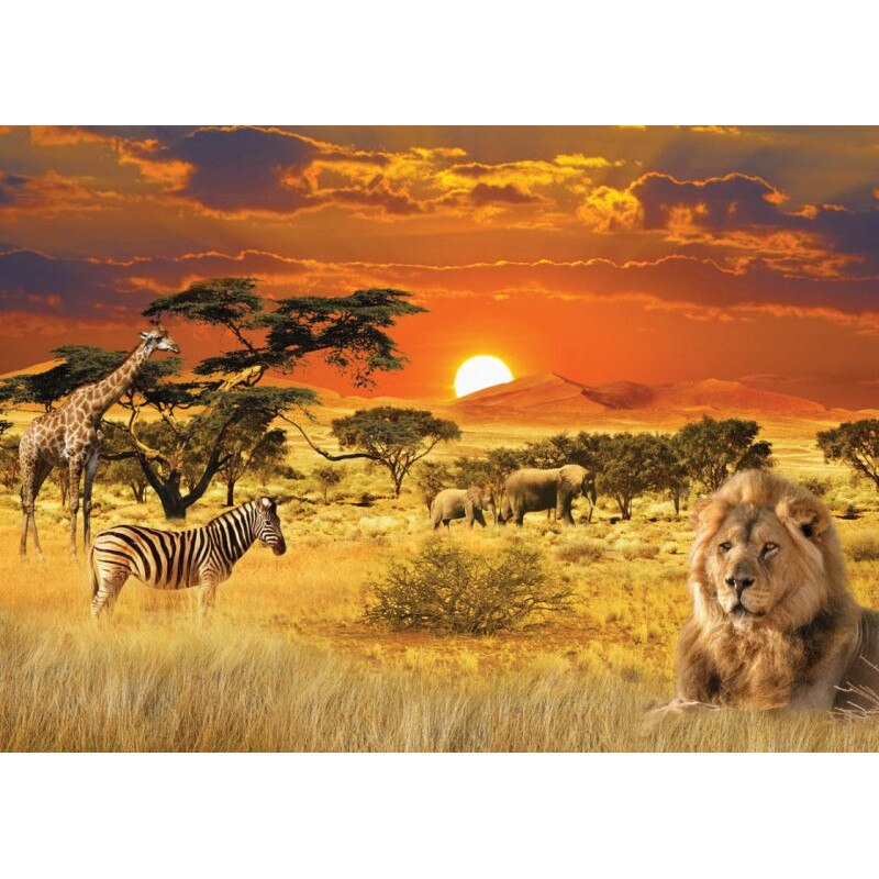 Fototapet DEGRETS 84541 Savannah 194x272cm