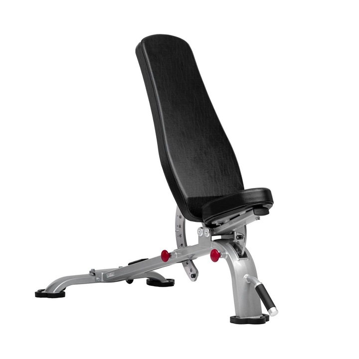BODYTONE PROFESSIONAL Регулируема пейка за корем EB03, 10 позиции на облегалката
